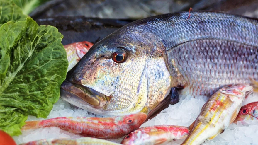 φρέσκα ψαρια