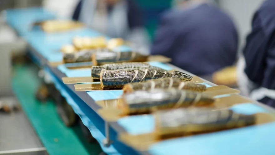 Τι είναι η αλλαντίαση