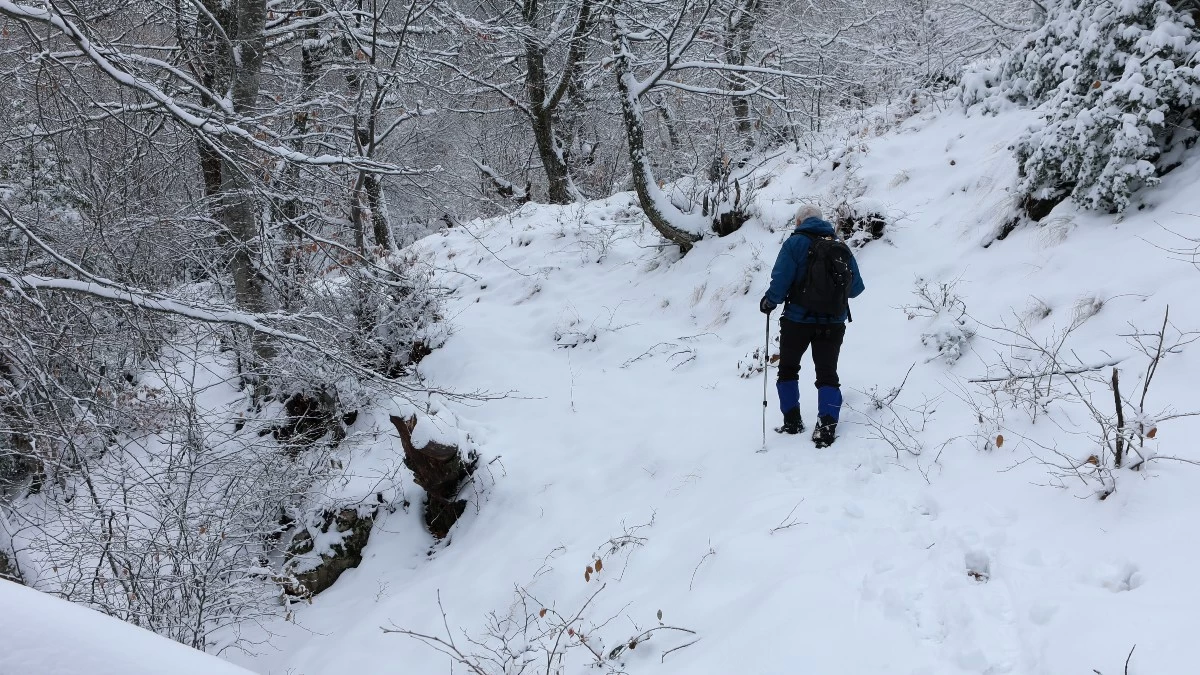 Καιρός (13/1): Παγετός! Τοπικές βροχές και χιονοπτώσεις - Ποιες περιοχές θα πληγούν
