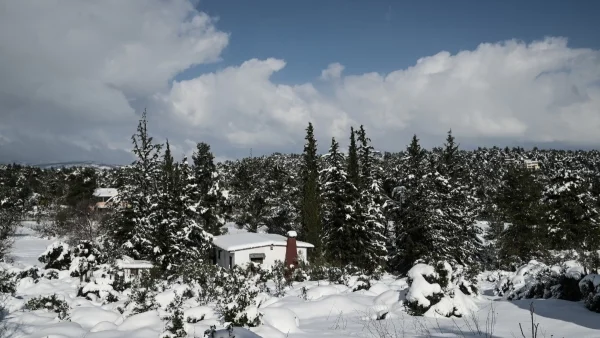 Καιρός: Χιόνια και τσουχτερό κρύο σήμερα 29/1 - Τι θα γίνει σε Αττική & Θεσσαλονίκη;