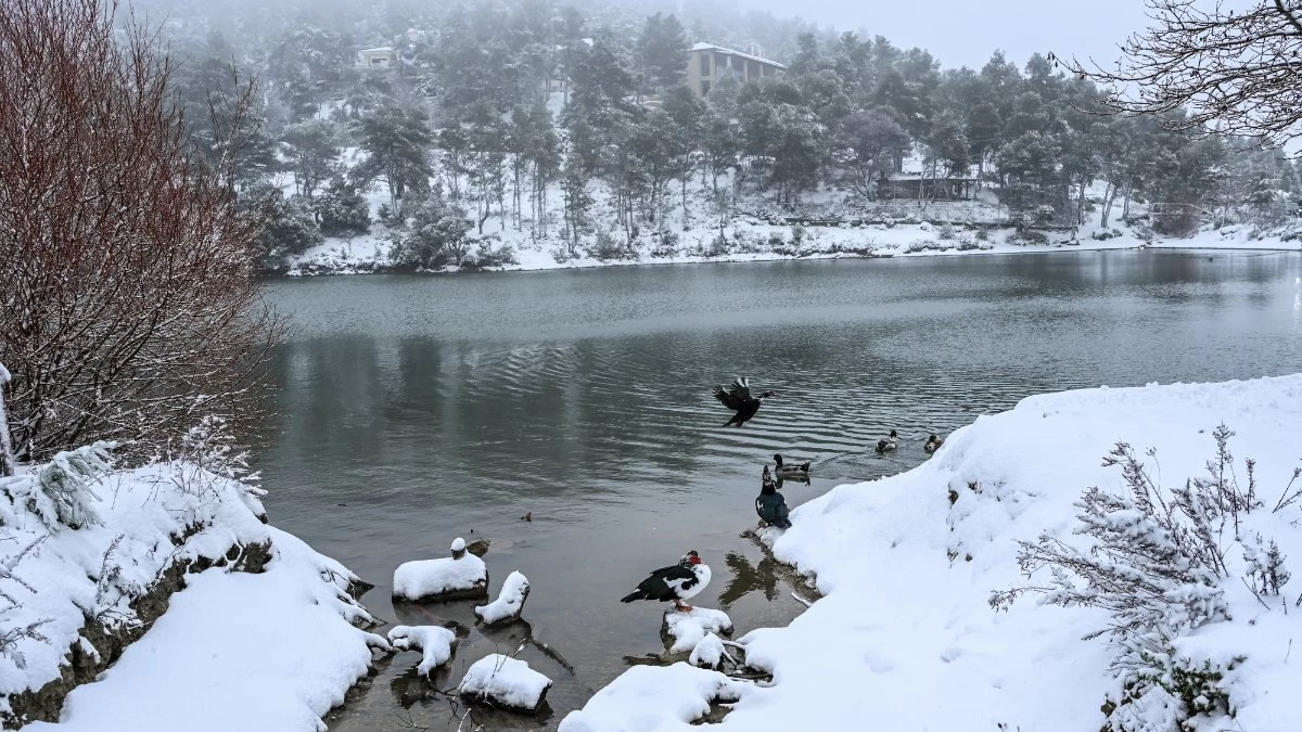 Καιρός 31/1: Χιονοπτώσεις και σήμερα - Πότε θα σταματήσουν τα έντονα φαινόμενα;