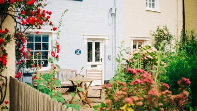 Το ένα ανθίζει από Δεκέμβρη μέχρι Μάρτιο - 4+1 φυτά που είναι ανθεκτικά στον κρύο καιρό