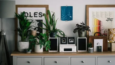 To ένα βοηθάει στο κρεβάτι και το άλλο φέρνει λεφτά - Τα 3 φυτά που σύμφωνα με το feng shui θα σου αλλάξουν τη ζωή