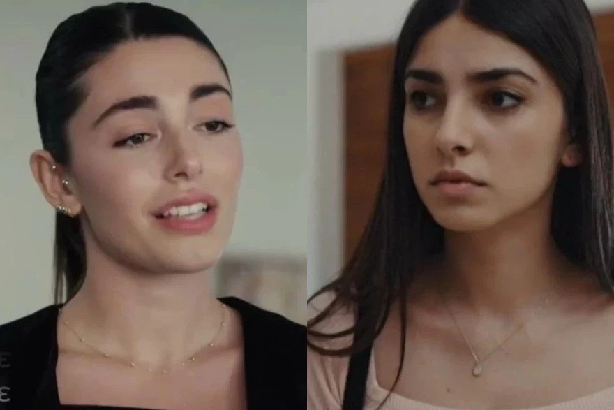 Η γη της ελιάς Βασιλική Αριάδνη