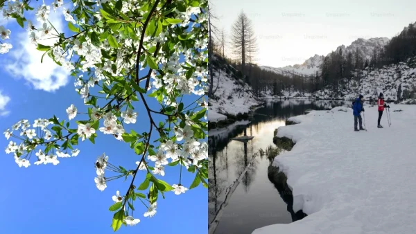 Καιρός: Αλλού θα πέσουν χιόνια και αλλού θα έρθει η άνοιξη - ''Καμπανάκι'' από τον Μαρουσάκη για επιδείνωση από το Σάββατο 20/1