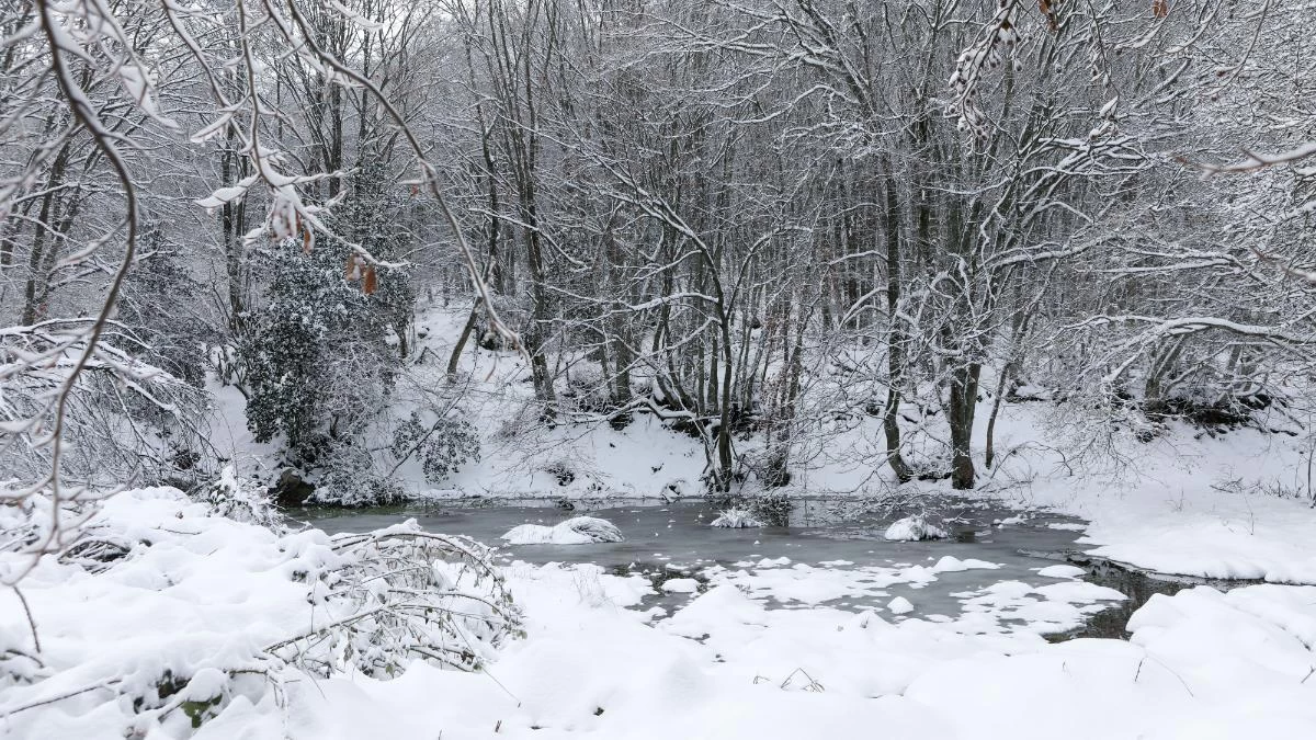 Καιρός - Σάκης Αρναούτογλου: Προειδοποιεί για χιόνια σε Αττική & Θεσσαλονίκη! Οι περιοχές που "κινδυνεύουν"