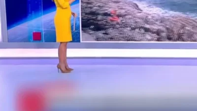 Εγκυμοσύνη έκπληξη στον ΣΚΑΙ - Η πρώτη δημόσια εμφάνιση στο πλατό με φουσκωμένη κοιλίτσα