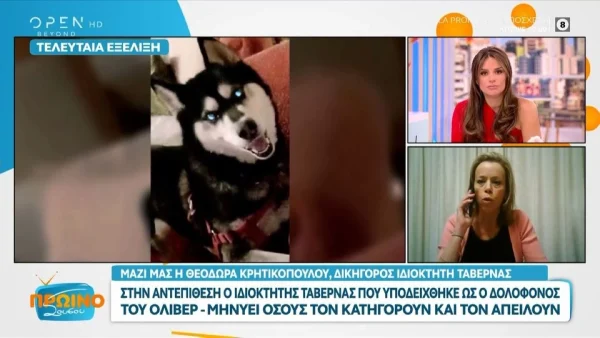 Αράχωβα: «Οι μηνύσεις είναι σε καθημερινό επίπεδο...» - Οι δηλώσεις της δικηγόρου του ιδιοκτήτη ταβέρνας που υποδείχθηκε ως ο δολοφόνος του Όλιβερ