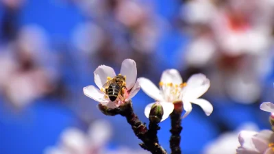 Καιρός 14/2: Με νεφώσεις, βροχές και πτώση της θερμοκρασίας η ημέρα των ερωτευμένων