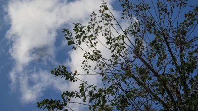 Καιρός (24/2): Οι συνθήκες ευνοούν την μεταφορά αφρικανικής σκόνης - Πόσο θα ανέβει η θερμοκρασία