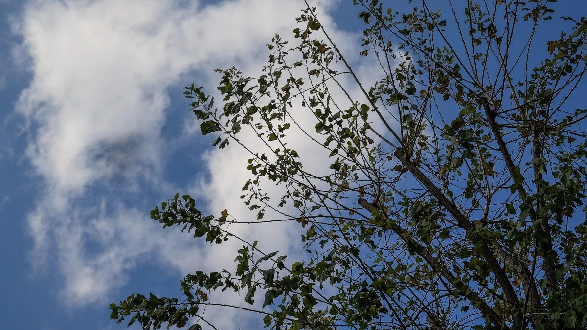 Καιρός (24/2): Οι συνθήκες ευνοούν την μεταφορά αφρικανικής σκόνης - Πόσο θα ανέβει η θερμοκρασία