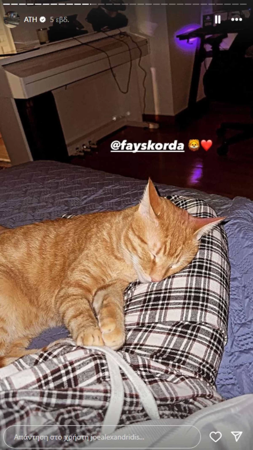 Φαίη Σκορδά - Ανιψιός - Σπίτι