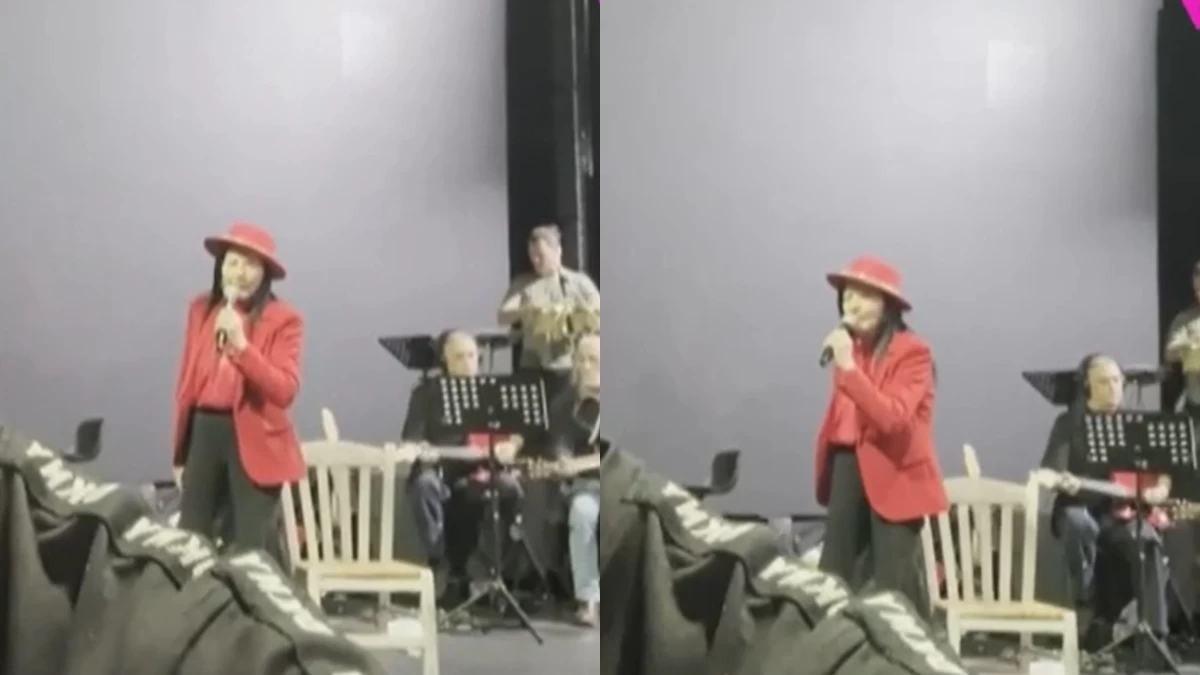 Ζωζώ Σαπουντζάκη: Το βίντεο που διέρρευσε από τη σκηνή λίγα λεπτά πριν καταρρεύσει - Πότε παίρνει εξιτήριο