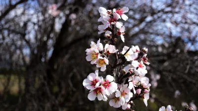 Καιρός 21/2: Σποραδικές καταιγίδες σήμερα - Που θα σημειωθούν;