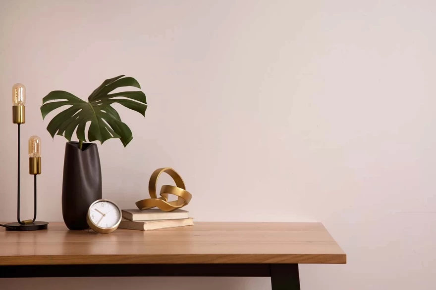 φυτό σε τραπέζι