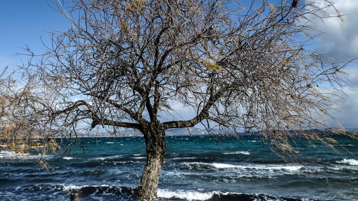 Καιρός 1/2: Μετά την κακοκαιρία και την χιονόπτωση ήρθε η ηλιοφάνεια - Ανεβαίνει η θερμοκρασία