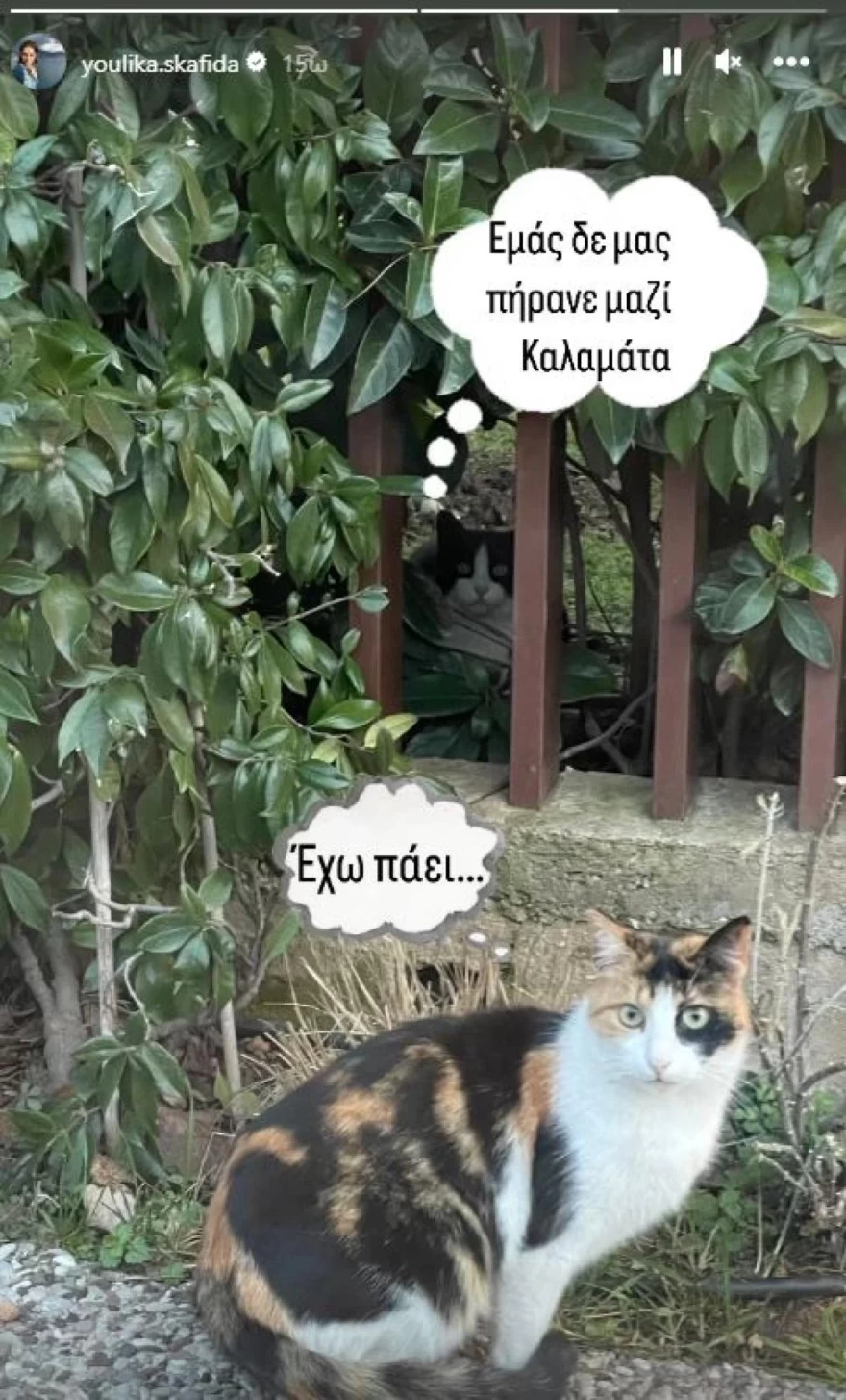 Γιούλικα Σκαφιδά ταξίδι γιος