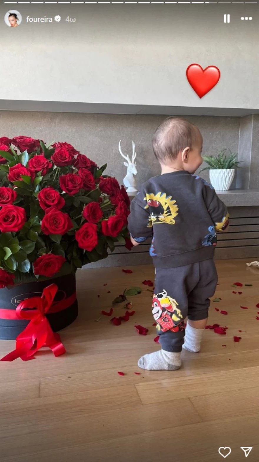 Ελένη Φουρέιρα - Γιος - Βήματα