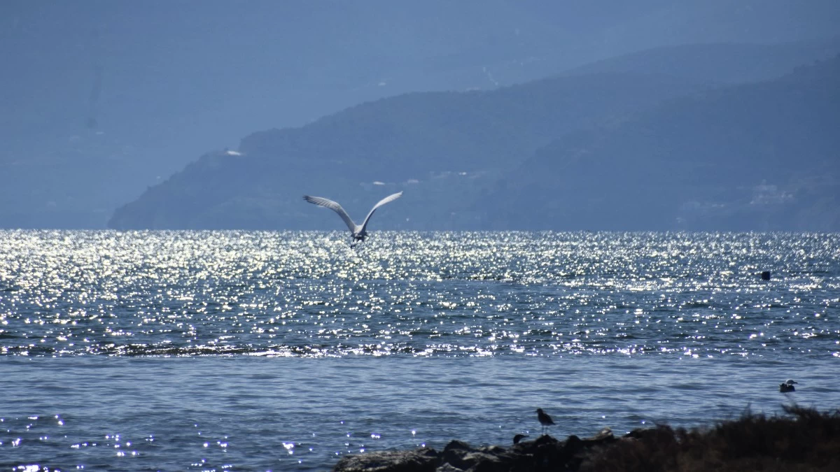 Καιρός 31/3: Κάποιοι θα ρίξουν τις πρώτες βουτιές σήμερα - Σημαντική άνοδος της θερμοκρασίας