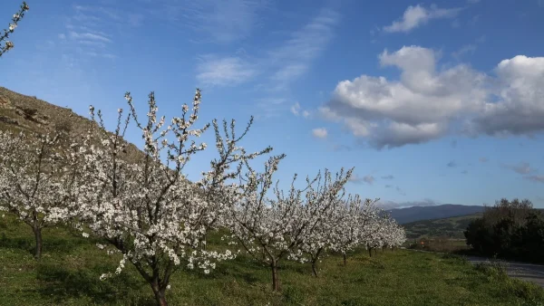 Καιρός: Tοπικές βροχές και όμβροι για σήμερα, Σάββατο 16/3 - Πέφτει η θερμοκρασία