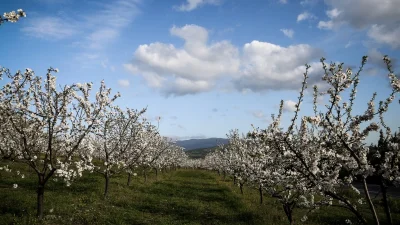 Καιρός (24/3): Γενικά αίθριος - Σε ποιες περιοχές θα βρέξει