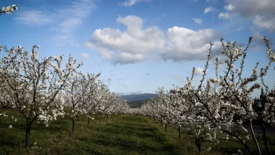 Αίθριος ο καιρός σήμερα 27/3 με άνοδο της θερμοκρασίας - Δείτε αναλυτικά