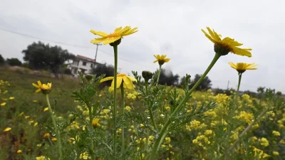 Καιρός 2/3: Παρουσιάζει βελτίωση το Σαββατιάτικο τοπίο - Σε ποιες περιοχές θα έχει ήλιο και σε ποιες βροχή