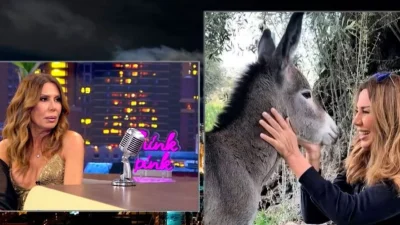 Στέλλα Γεωργιάδου: Η φυγή από την Ελλάδα, η φάρμα, οι φιλολογικές σπουδές και η συνεργασία με τον Γιώργο Λάνθιμο