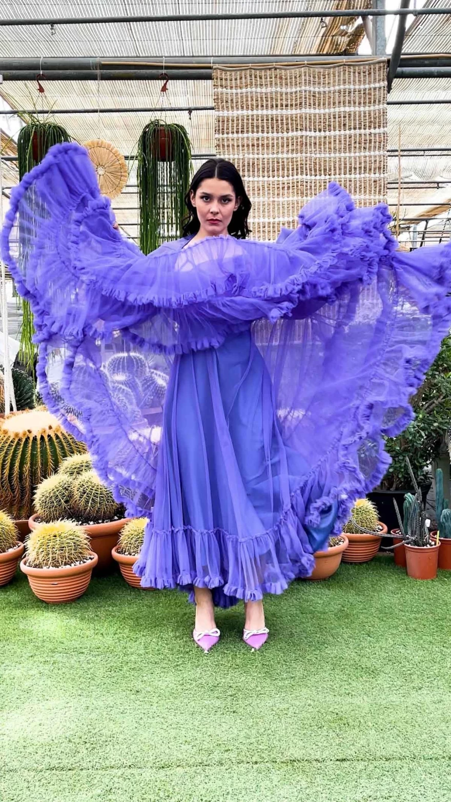 ασημένια βουλιώτη