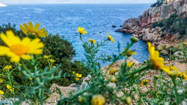 Αίθριος ο καιρός σήμερα 5/4 με υψηλές θερμοκρασίες για την εποχή - Δείτε την πρόγνωση