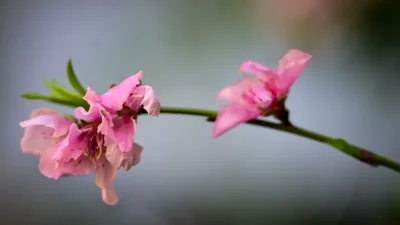Γενικά αίθριος ο καιρός σήμερα 13/4 - Τις μεσημβρινές και απογευματινές ώρες θα...
