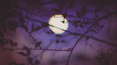 Ζώδια: Τι μας περιμένει σήμερα, Τετάρτη 24 Απριλίου