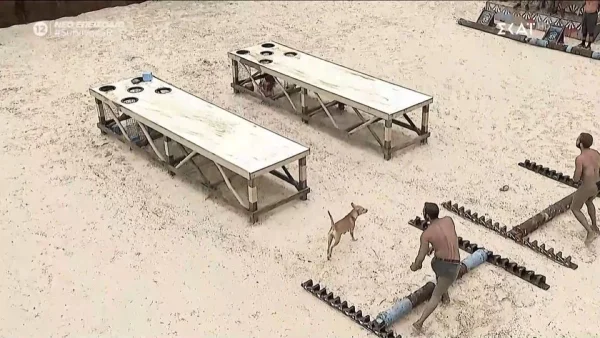 Survivor 29/4: Αυτή η ομάδα κέρδισε τελικά τη 2η ασυλία - Μπήκε σκυλί στην πίστα και κυνήγησε παίκτη