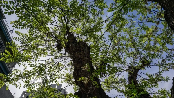 Καιρός 18/4: Αίθριος στη μισή χώρα, με καταιγίδες στην υπόλοιπη - Πέφτει η θερμοκρασία