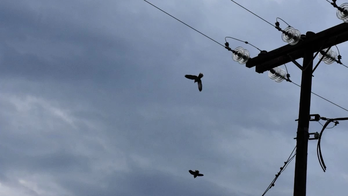 Καιρός Μ. Δευτέρα 29/4: Αίθριος με τοπικές βροχές - Που θα χρειαστείτε ομπρέλα και που αντηλιακό