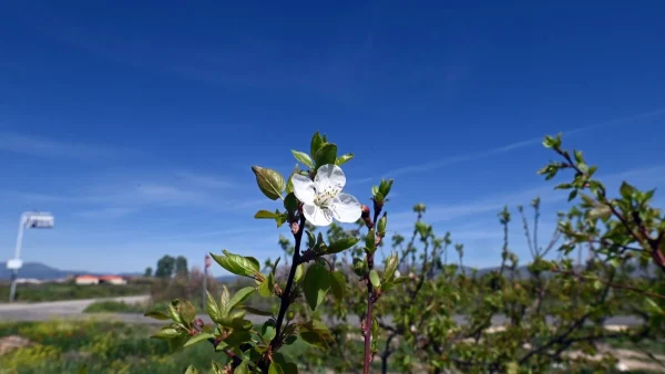 Καιρός 12/4: Ηλιοφάνεια και σήμερα - Σε υψηλά επίπεδα η θερμοκρασία με βοριάδες