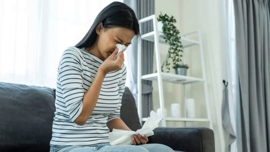 γυναίκα φτερνίζονται μέσα στο σπίτι