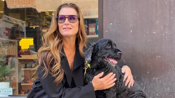 Θέλεις μακριές βλεφαρίδες; Με αυτή τη μάσκαρα -τη χρησιμοποιεί και η 58χρονη Brooke Shields- θα αποκτήσεις σούπερ μήκος, όγκο & καμπυλότητα!