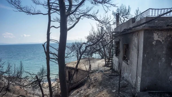 Mάτι: 6 ένοχοι και 15 αθώοι από τους κατηγορούμενους για την τραγωδία – Τι προβλέπεται για Ρένα Δούρου και Ηλία Ψινάκη