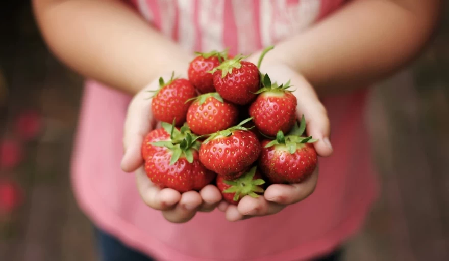 γυναίκα κρατάει φράουλες