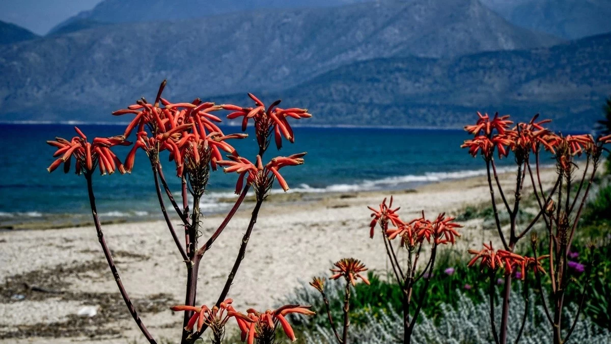 Καιρός 13/5: Γενικά αίθριος με βροχές σε συγκεκριμένες περιοχές - Ποιες είναι αυτές