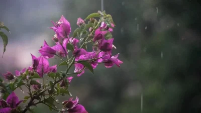 Άστατος ο καιρός σήμερα 26/5 με πτώση της θερμοκρασίας - Που θα βρέξει;