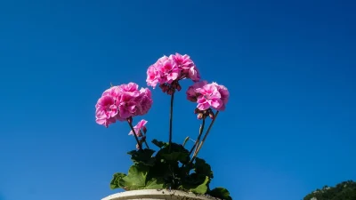 Καλοκαιρινός ο καιρός σήμερα Τετάρτη 29/5 - Σε ποιες περιοχές όμως θα χρειαστείτε ομπρέλα;