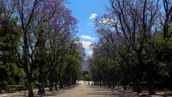 Καιρός: Ηλιοφάνεια σήμερα 24/5 με λίγα σύννεφα - Σε ποιες περιοχές θα βρέξει;