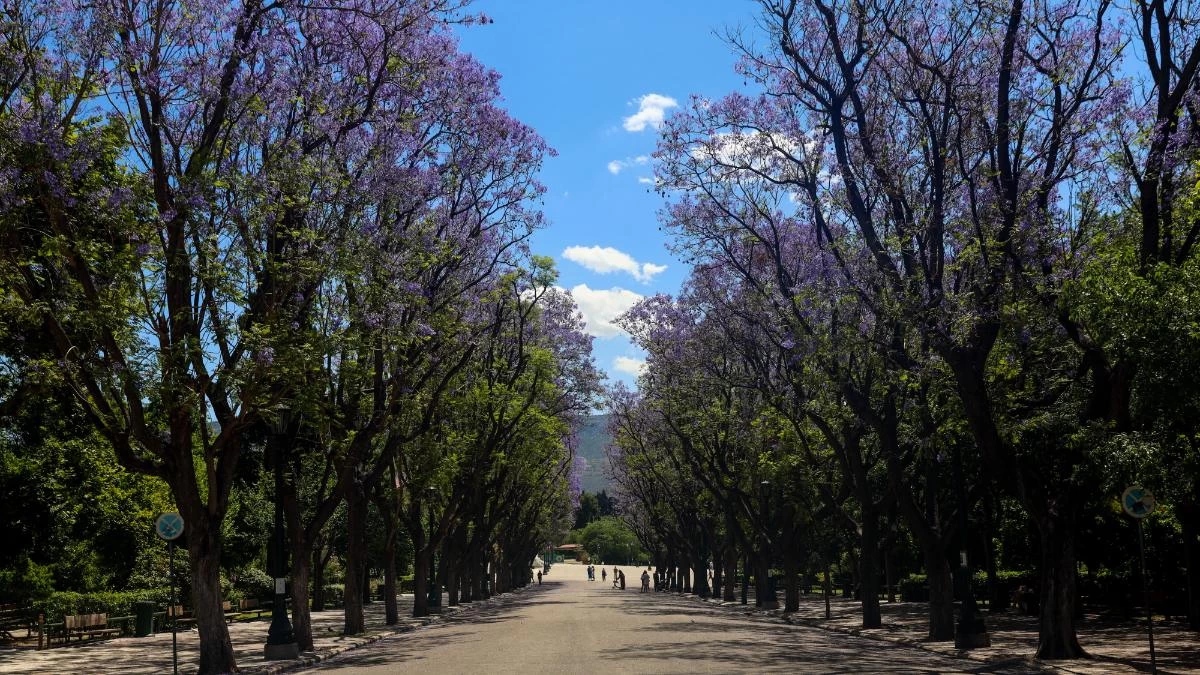 Καιρός: Ηλιοφάνεια σήμερα 24/5 με λίγα σύννεφα - Σε ποιες περιοχές θα βρέξει;