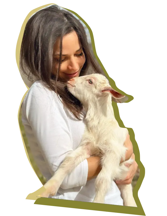 Γερονικολού