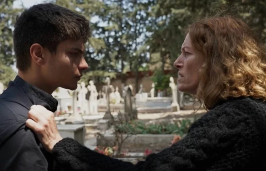 Η γη της ελιάς Χάιδω