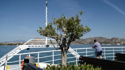 Αίθριος ο καιρός σήμερα 18/6 - Η θερμοκρασία θα παρουσιάσει μικρή περαιτέρω άνοδο