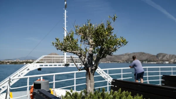 Αίθριος ο καιρός σήμερα 18/6 - Η θερμοκρασία θα παρουσιάσει μικρή περαιτέρω άνοδο