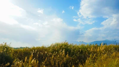 Καιρός 25/6: Γενικά αίθριος - Μικρή πτώση της θερμοκρασίας και καταιγίδες σε δύο περιοχές της χώρας